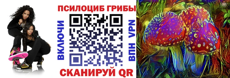 Галлюциногенные грибы Psilocybe  закладки  Котовск 