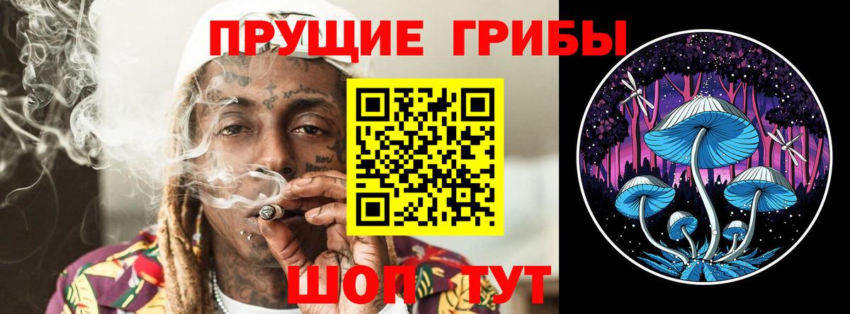 Галлюциногенные грибы Cubensis  Вход с VPN  Котовск 
